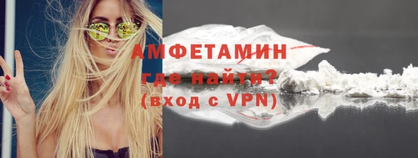 гидра Кулебаки