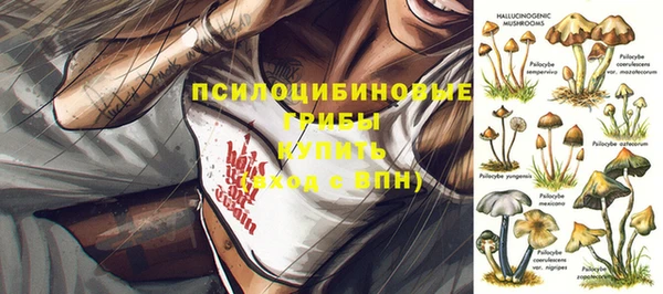 индика Кукмор