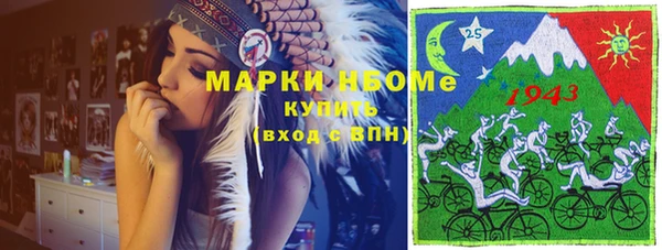 индика Кукмор