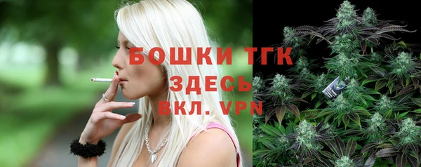PSILOCYBIN Корсаков
