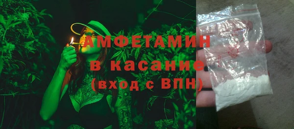 индика Кукмор